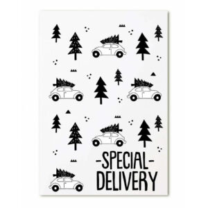 zoedt-minikaartje-special-delivery