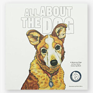 bis-All-about-the-dog