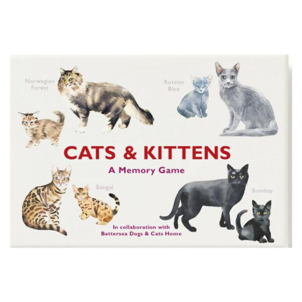 cats & kittens memory spel