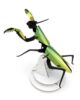 diy-bidsprinkhaan-assembli-Praying-mantis-mango-green-low