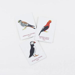 laurence-king-publishing-match-a-pair-of-birds-memory-game