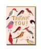 carolyn-suzuki-thank-you-feathered-friends