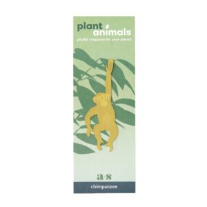 another-studio-plant-animals-chimpansee
