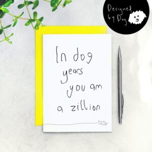 paper-plane-in-dog-years-you-am-a-zillion