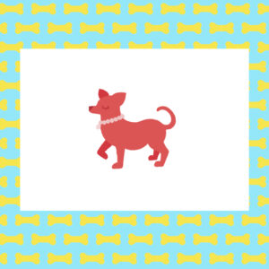 pup-store-kaart-chihuahua