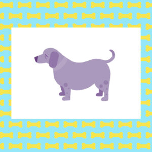 beagle-kaart-pup-store