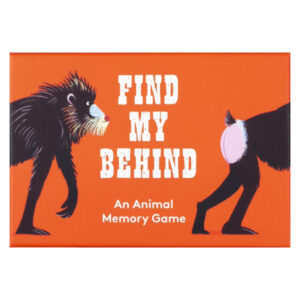 an-animal-memory-game
