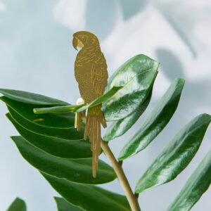 another-studio-plant-animals-parrot