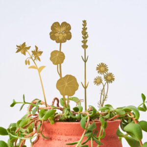 antother-studio-brass-blooms-herbs