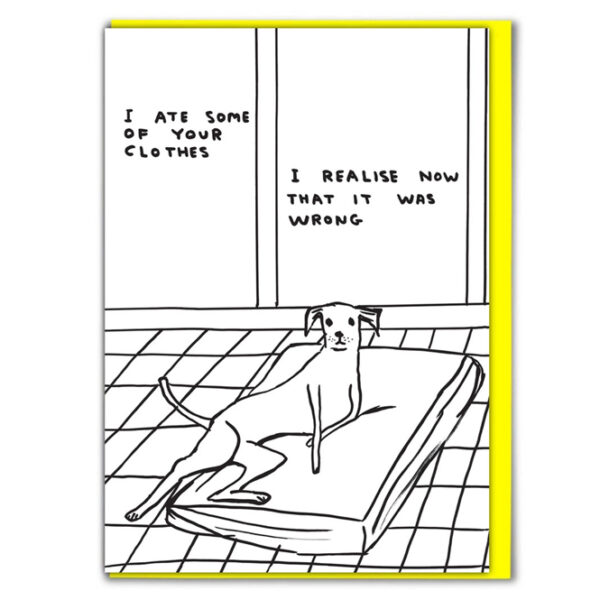 david-shrigley- I-ate-some-of-your-clothes