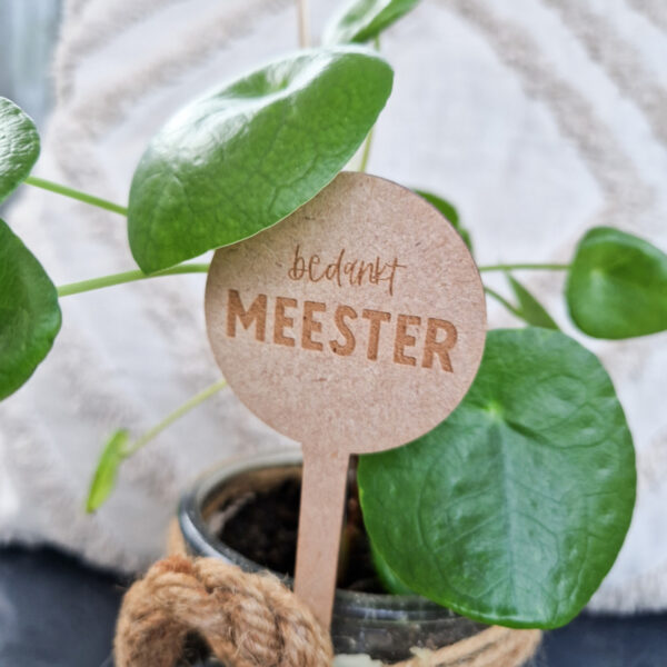 miek-in-vorm-plantensteker-meester