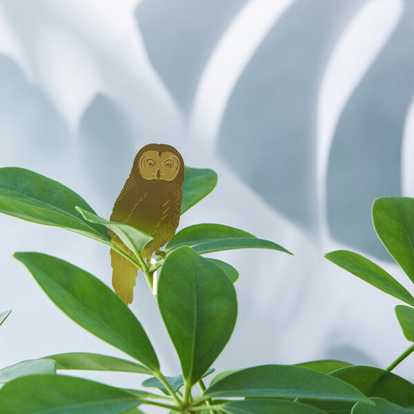 another-studio-plant-animal-owl