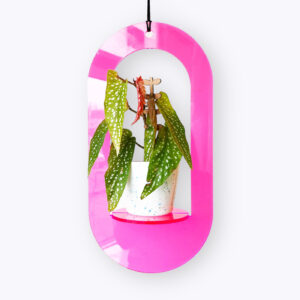 all-things-we-like-plantenhanger-neon-pink-oval