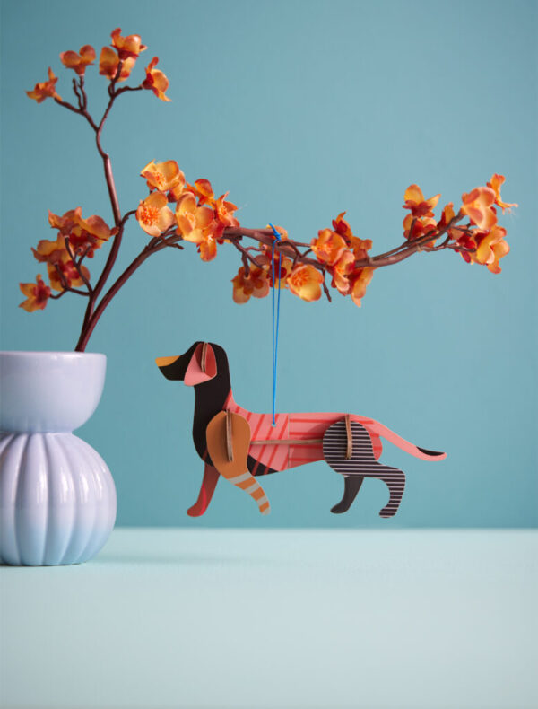 studio-roof-lucky-charm-dachshund