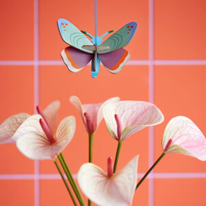studio-roof-lucky-charm-dotted-butterfly