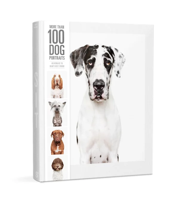 more-than-100-dog-portraits