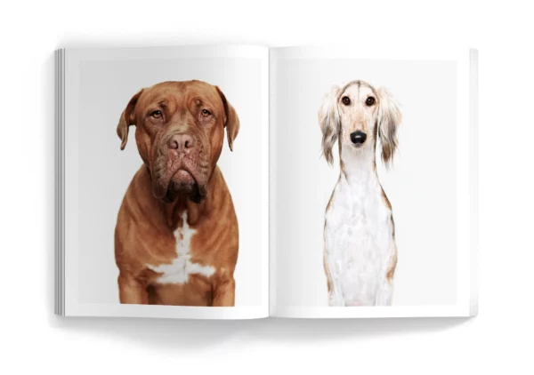 more-than-100-dog-portraits