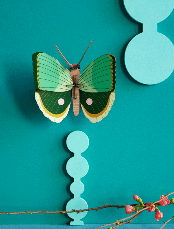 studio-roof-fern-striped-butterfly