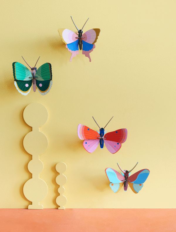 studio-roof-fern-striped-butterfly