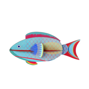 studio-roof-parrotfish